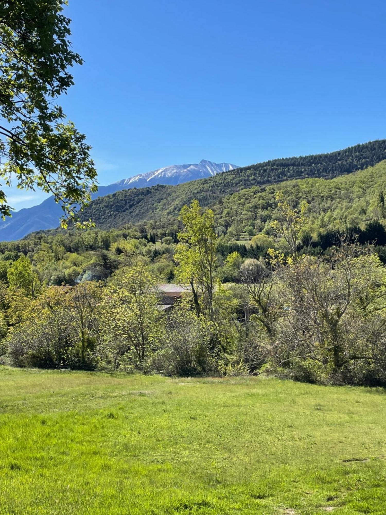 Domaine St Georges Villa Mosset Eksteriør billede